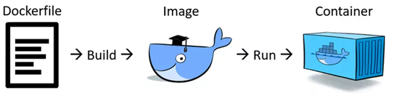 2_1e0425f265a36f76e6a7273fc2fa97a9_800 (1)