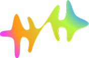 Capture Data Services LLC