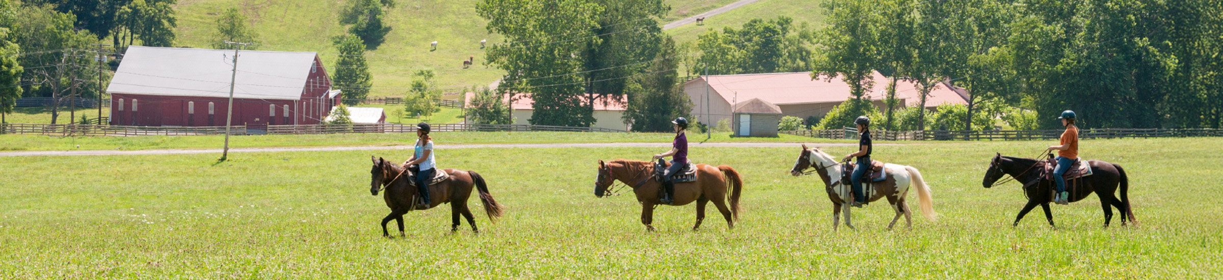 Horse riders riding in a open field with a farm in the background