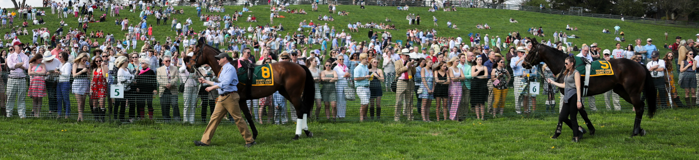 large crowd watching horses being walked across a field