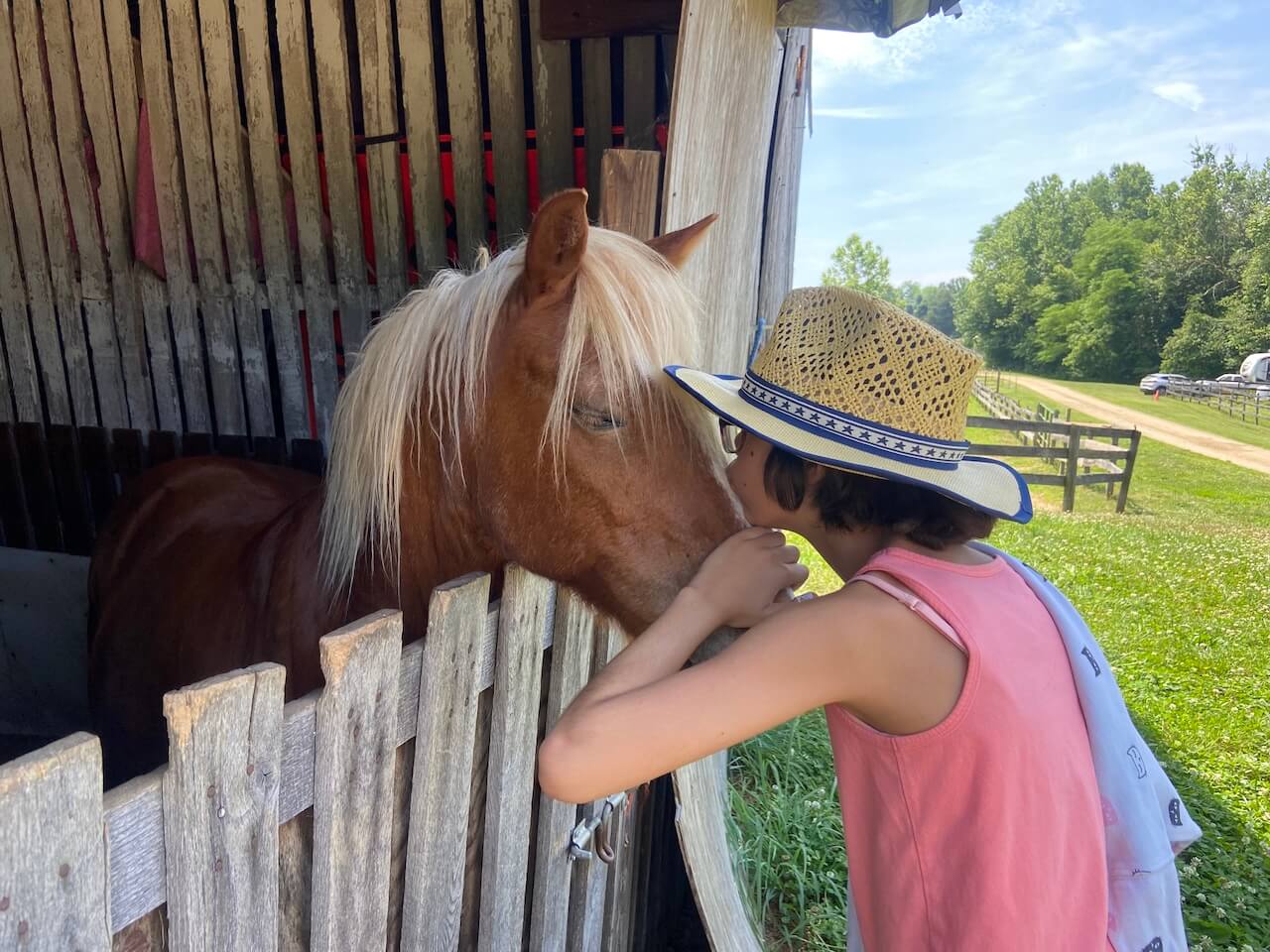 person petting and giving a pony a kiss