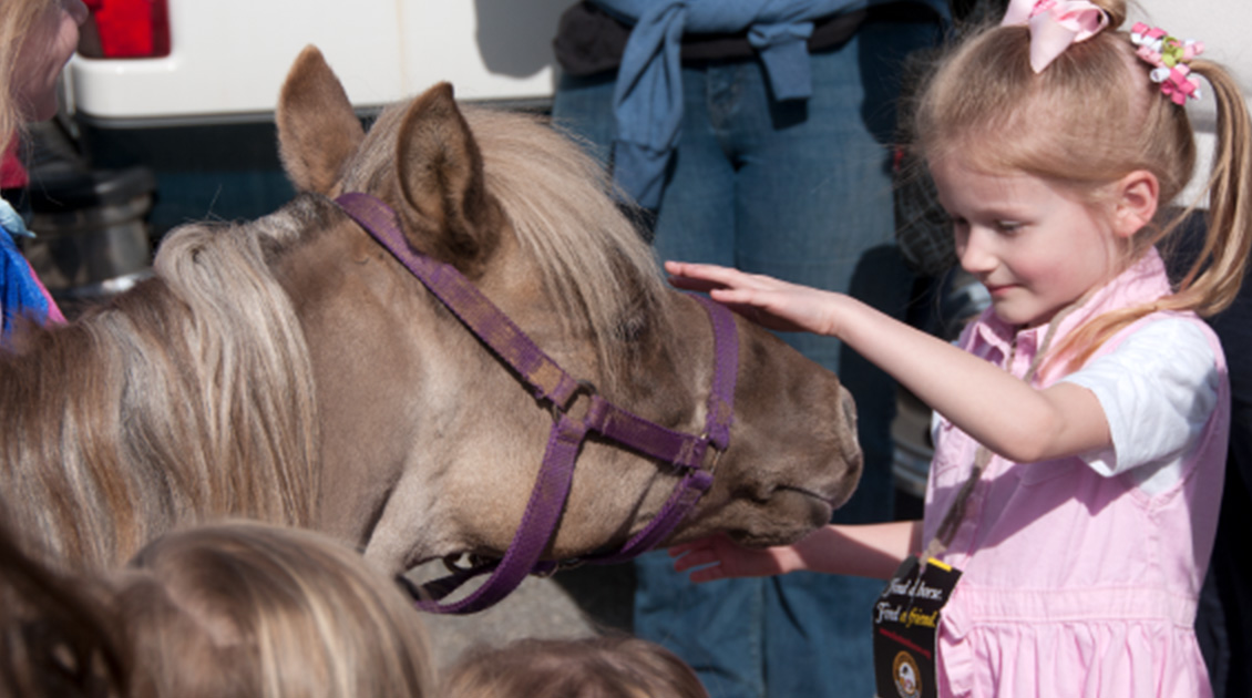 young child petting pony