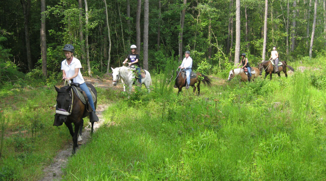 riders riding horses down a path