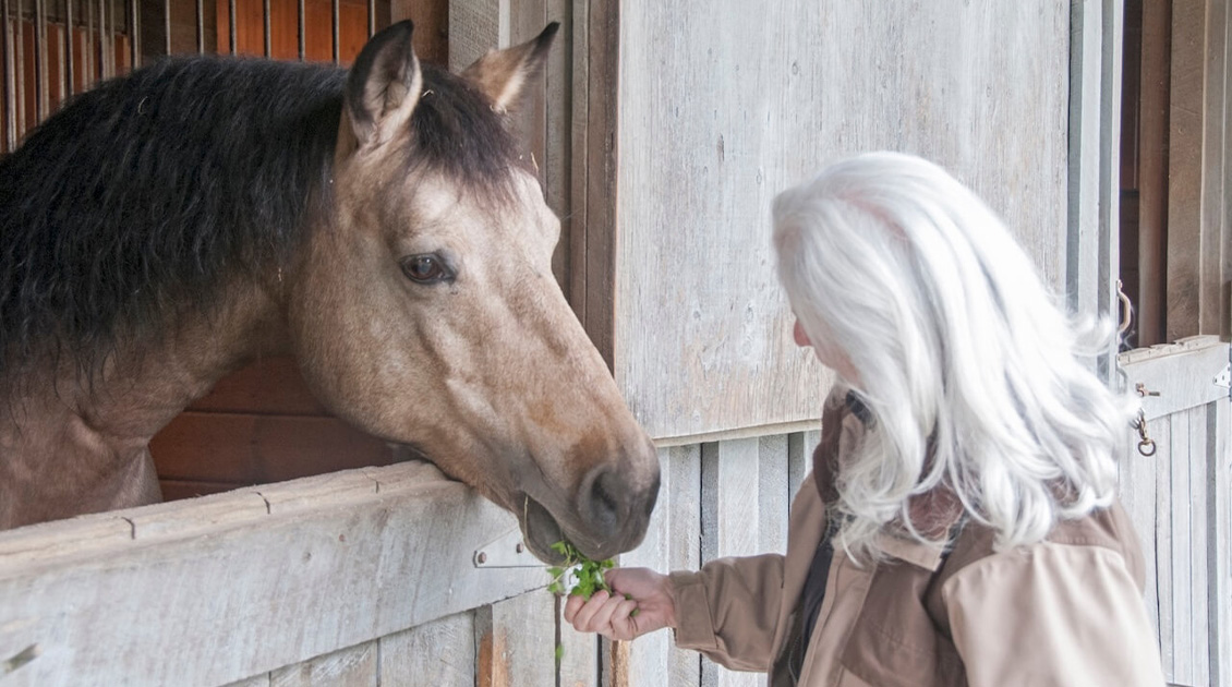 Women feeding a horse in a stable