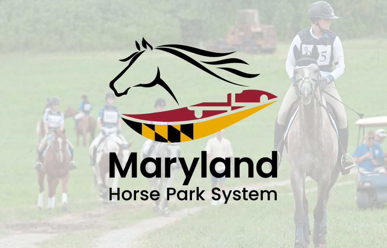 Equine Dentistry, Bit and Bridle Fitting