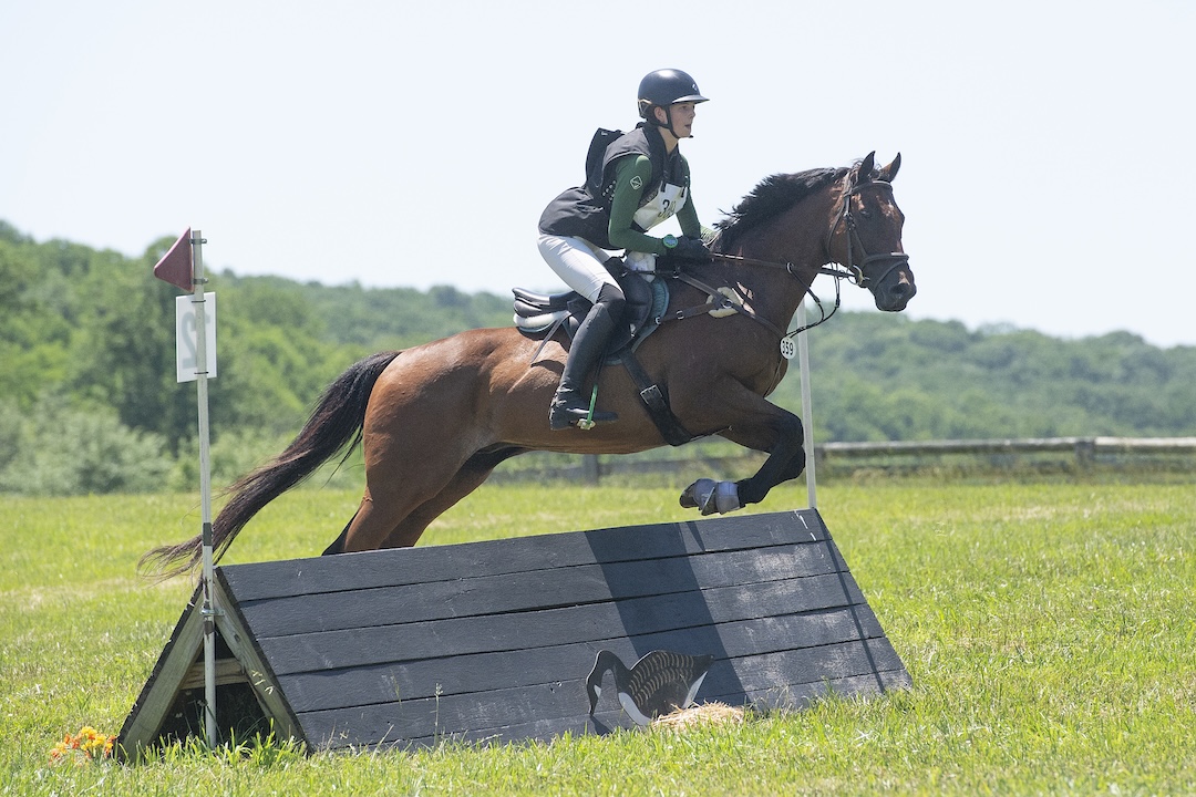 Horse rider jumping over an obstacle