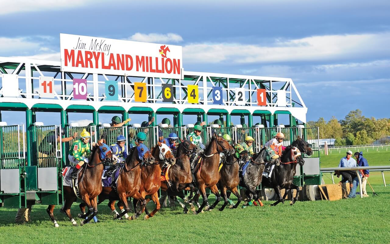 Maryland Million Day