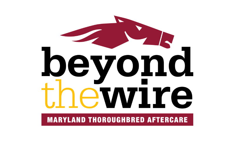 Beyond the Wire