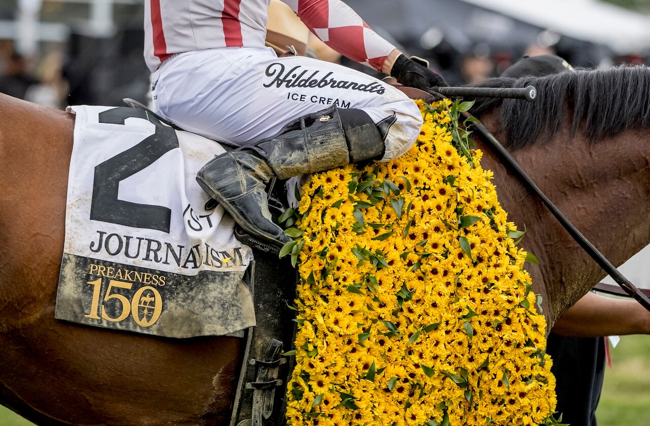 closeup of preakness 150 winner Journalism