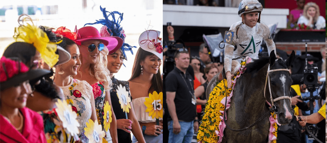 Black-Eyed Susan Day