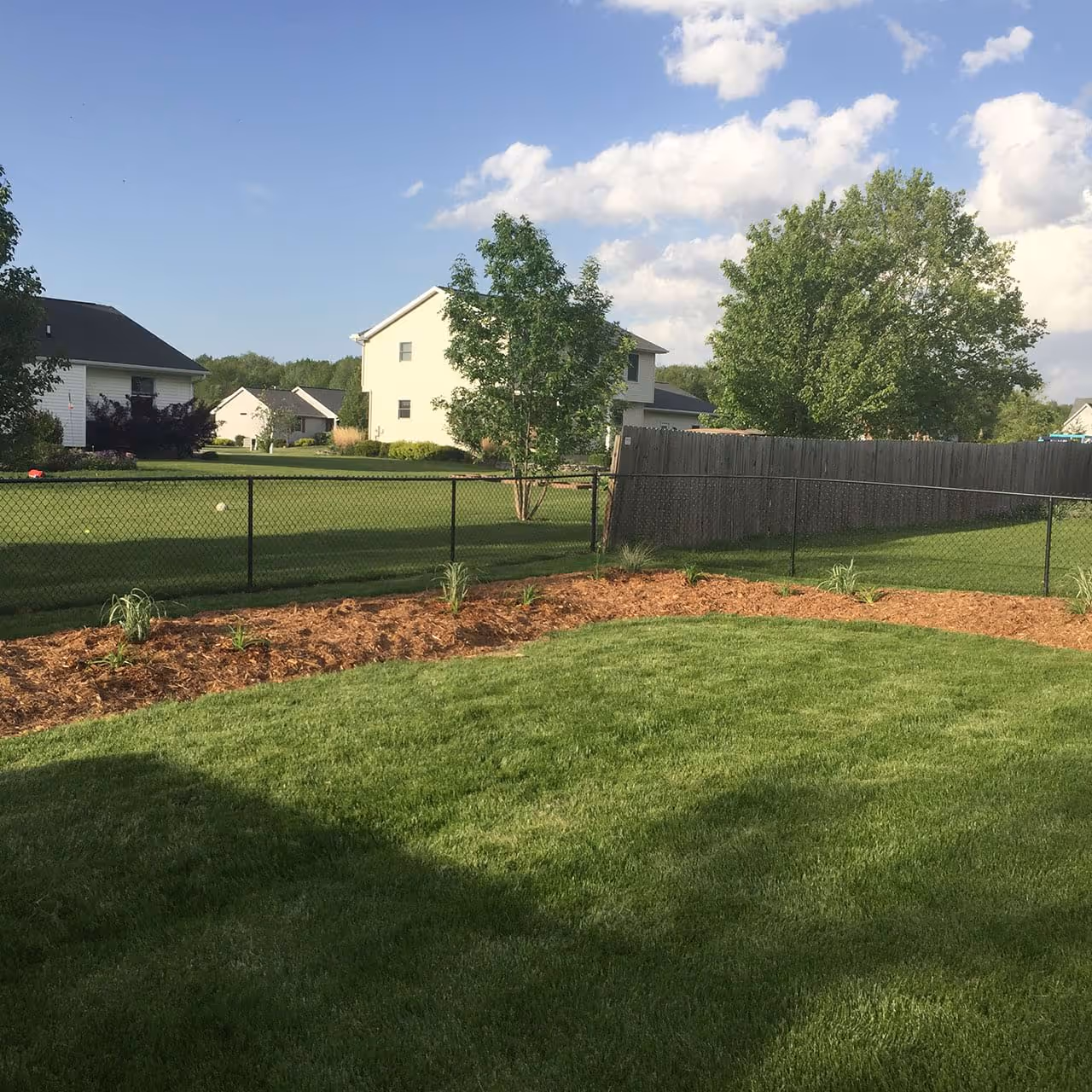 CJ trimming shrubs at residential property