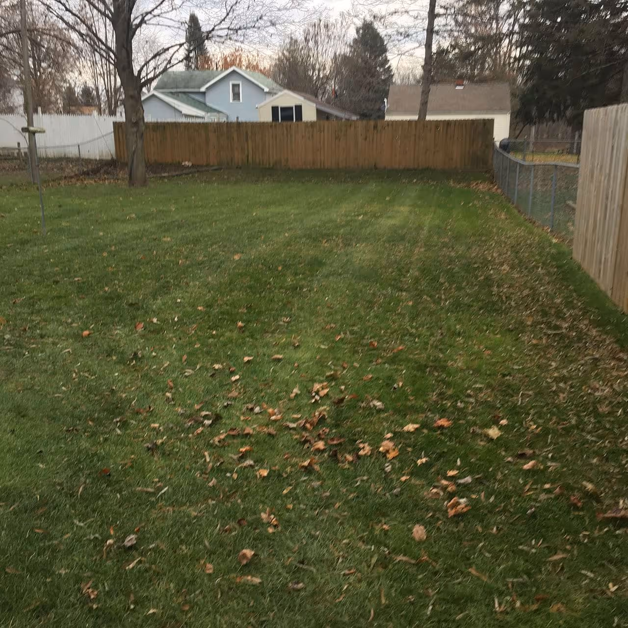Landscape cleanup for high-end home