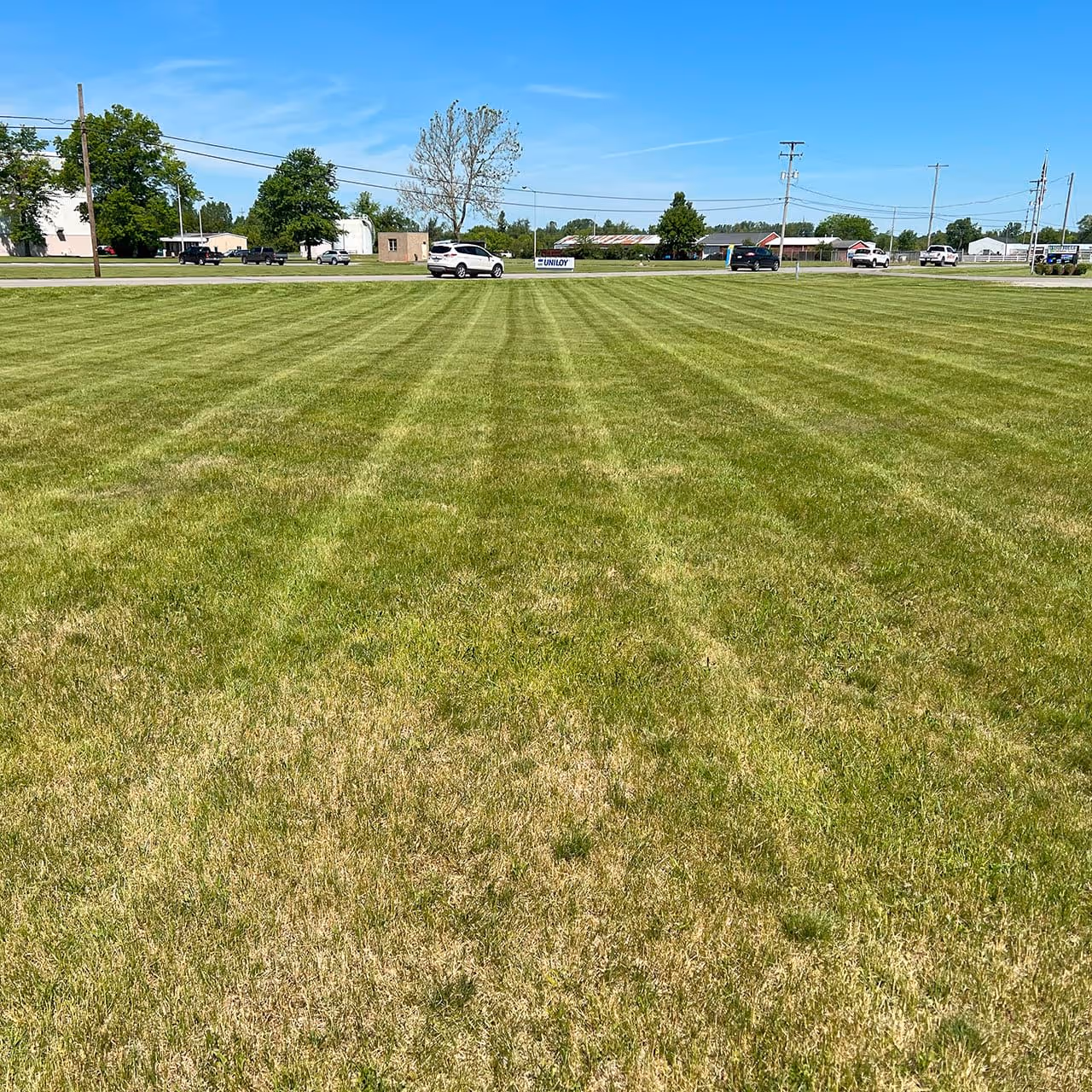 Clean landscape bed during fall cleanup
