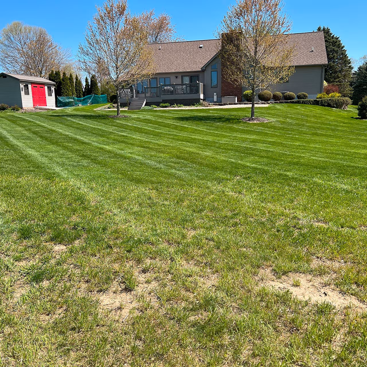 Backyard lawn trimming for small business