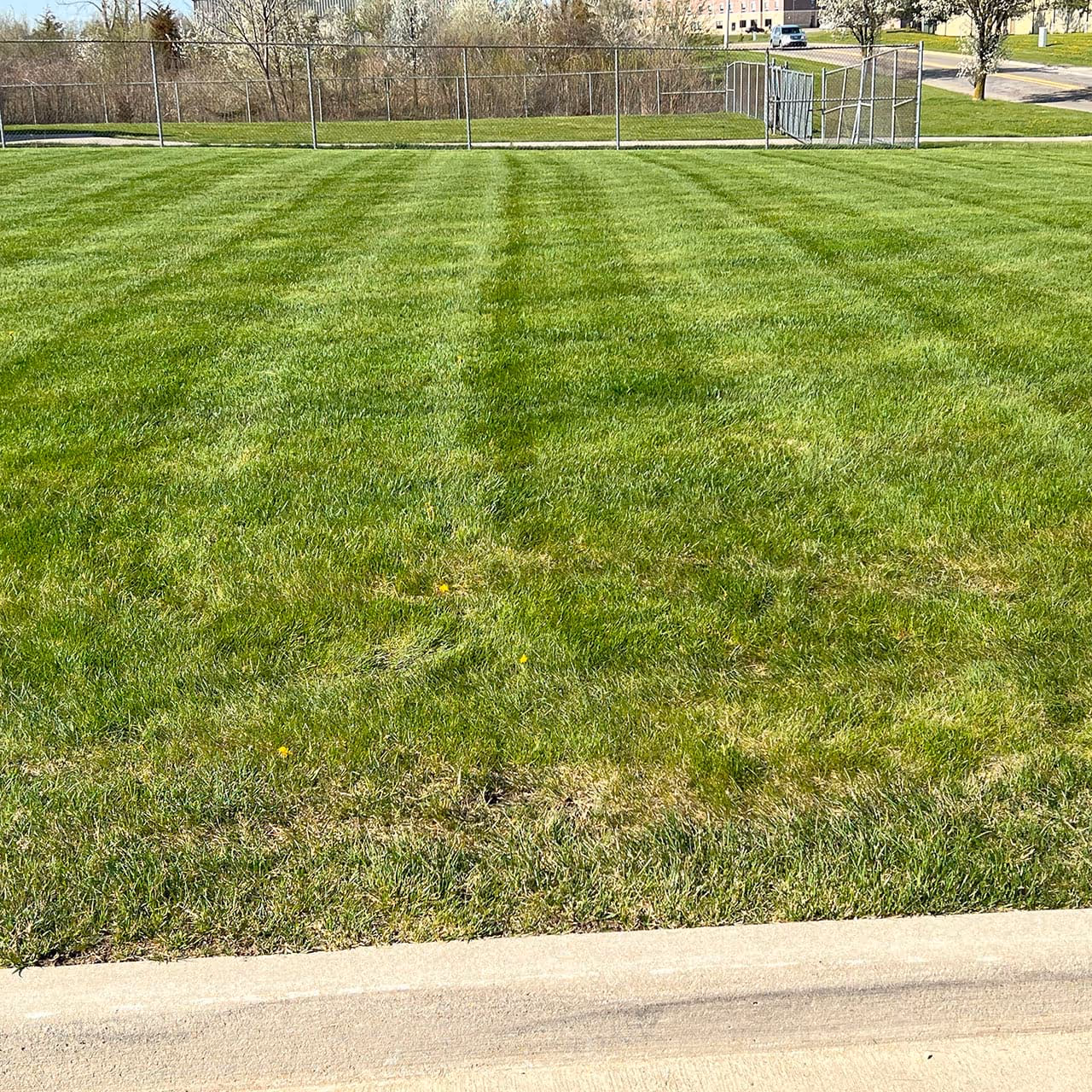 Clean lawn edging near Britton MI