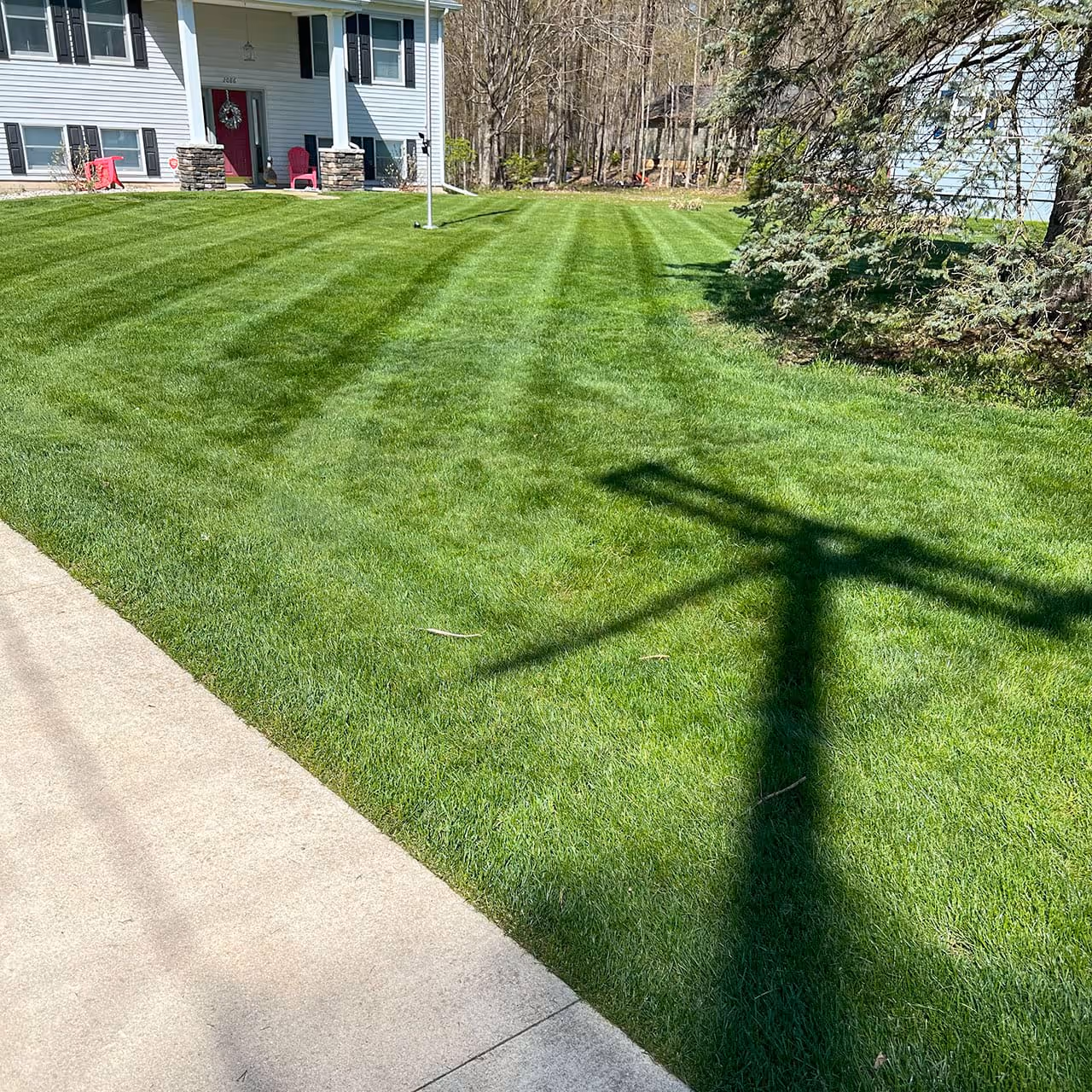 Spring yard debris removal in Adrian MI