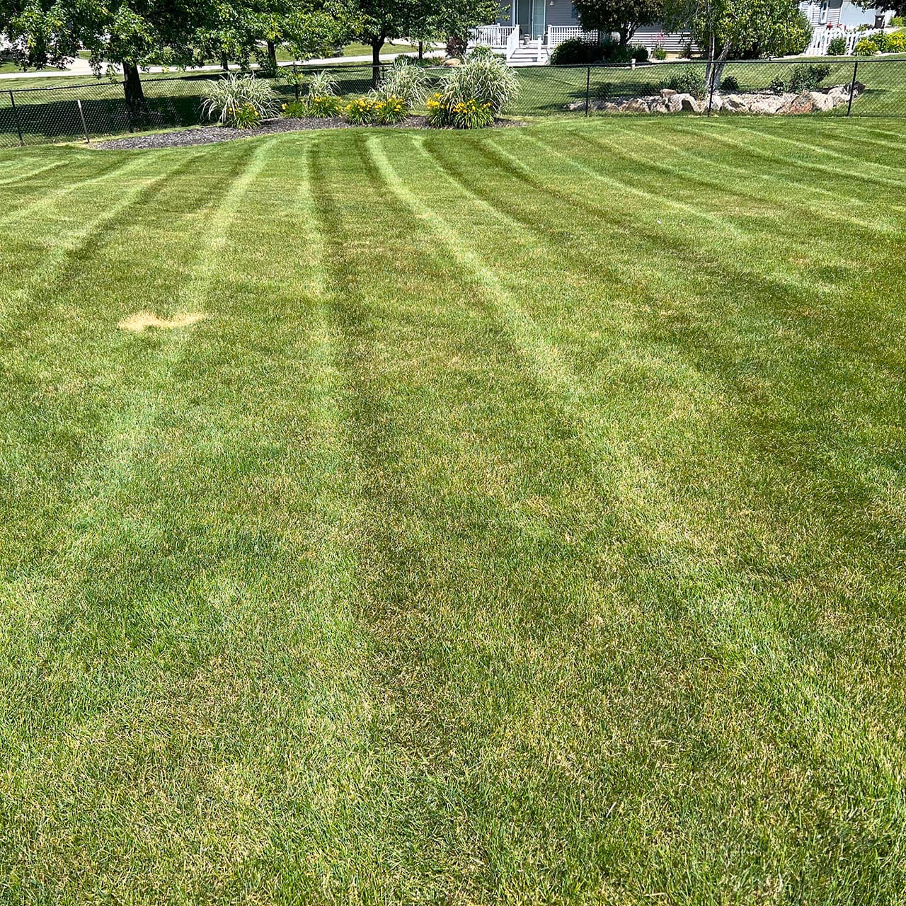 Grass trimming by CJ’s Lawn Care Service