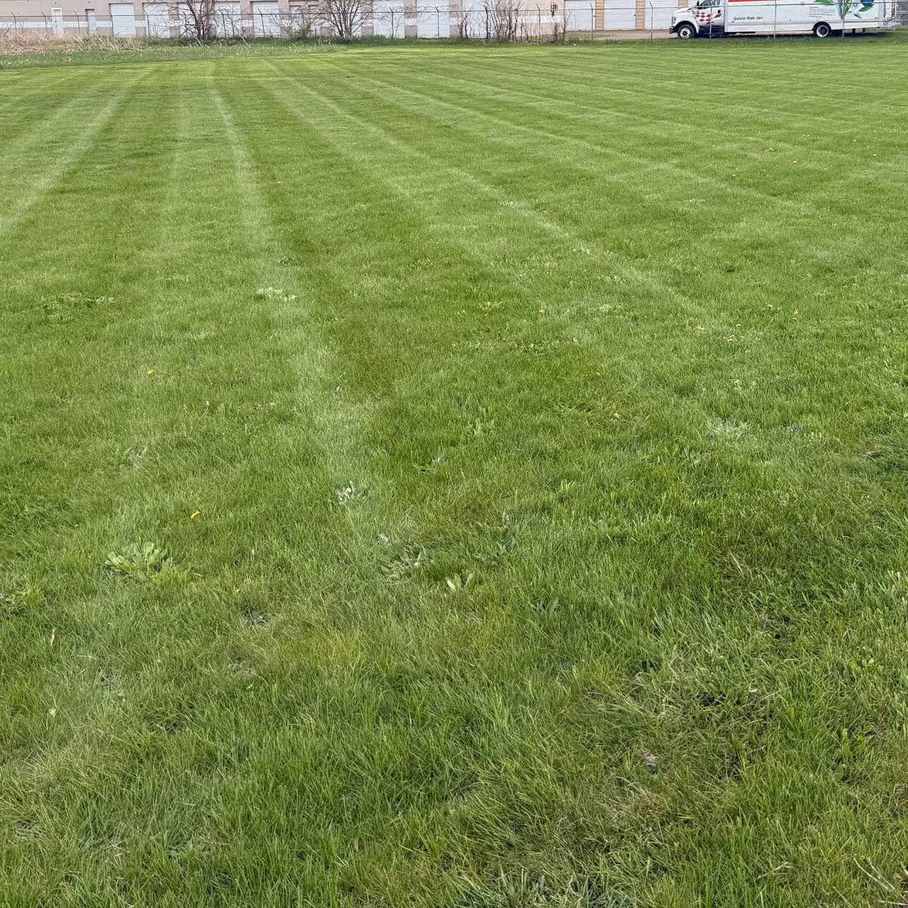 Professional lawn care in Tecumseh MI