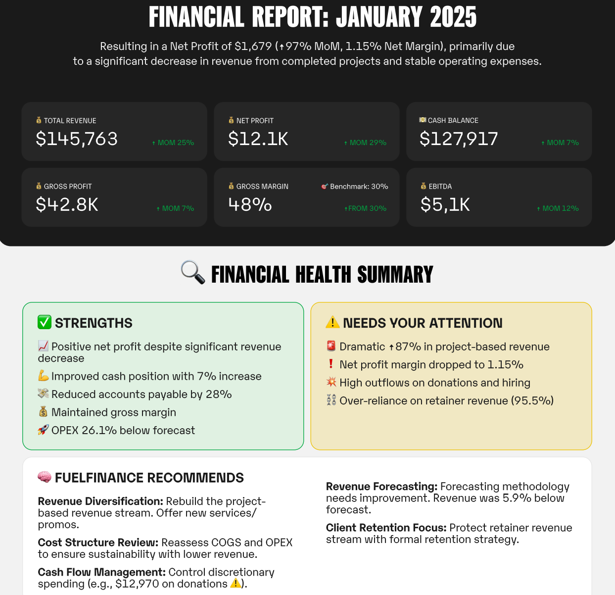 Fuelfinance financial report preview