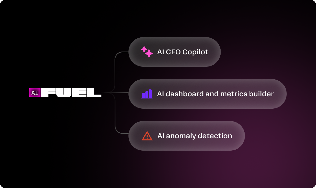 Fuelfinance: case study for a finance AI that links together AI CFO, dashboards and anomaly detection
