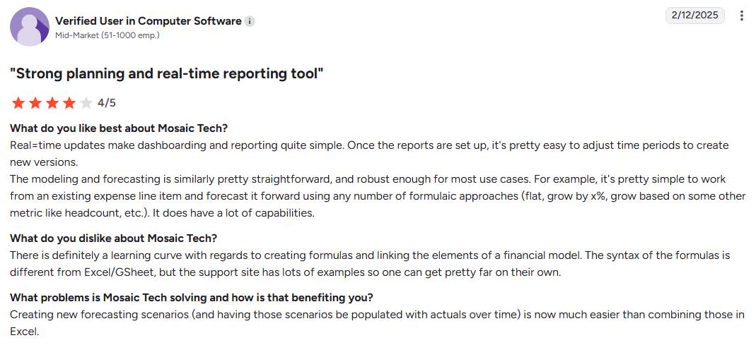 Mosaic budgeting and forecasting tool review