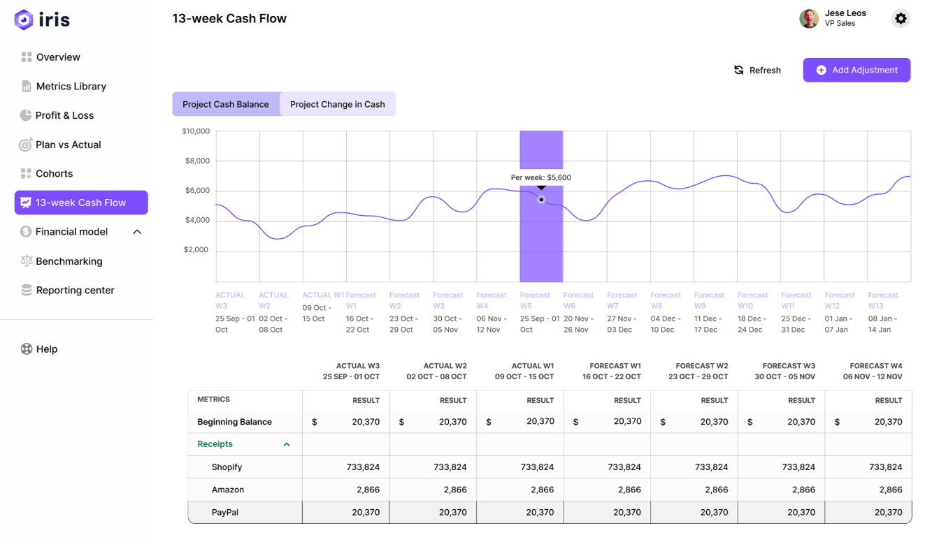 Iris Finance AI-native CFO platform showing cash balance tracking