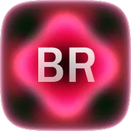 Bank Reconciliation