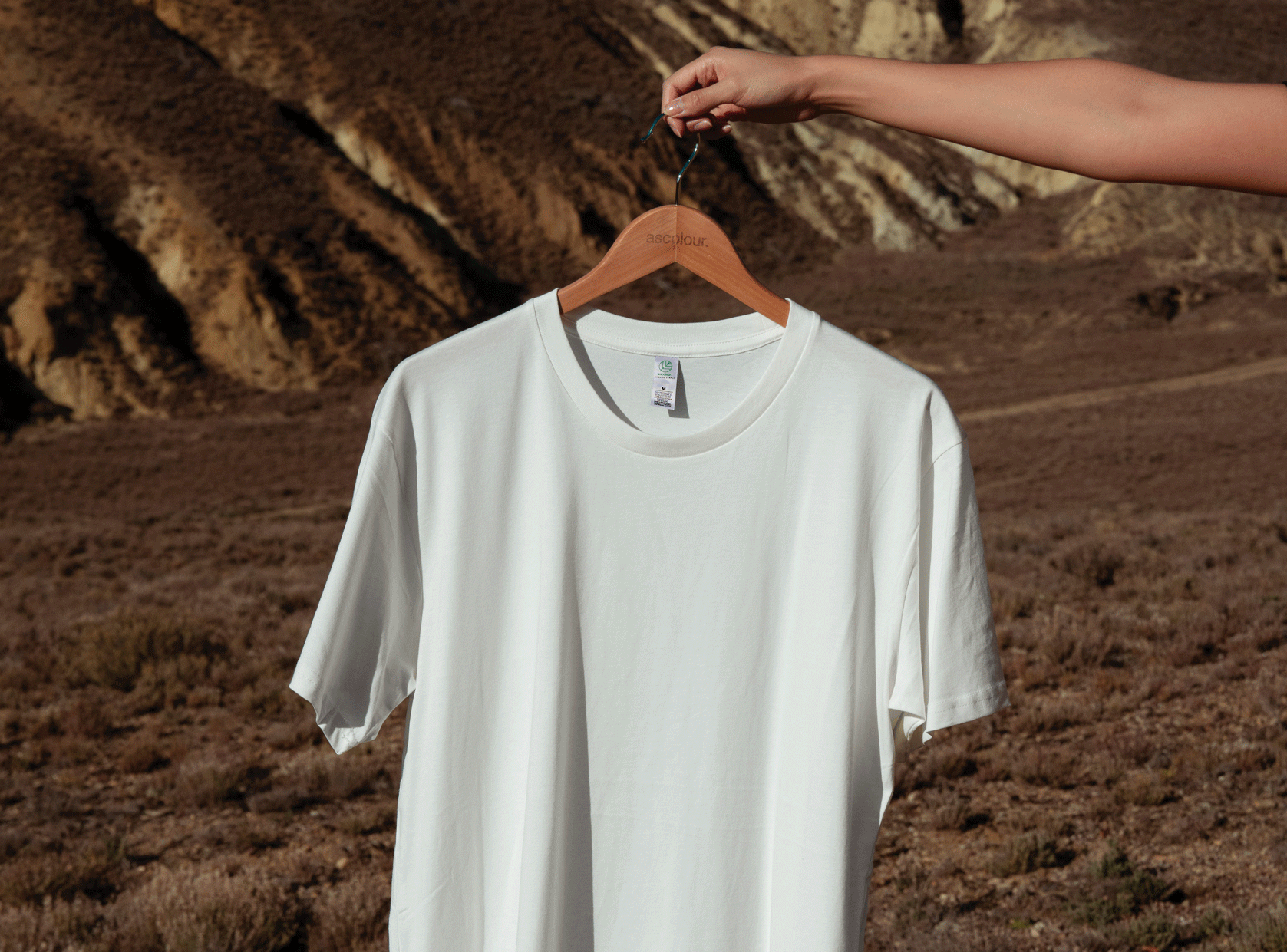 A sustainable t-shirt highlighting our eco-friendly collections.