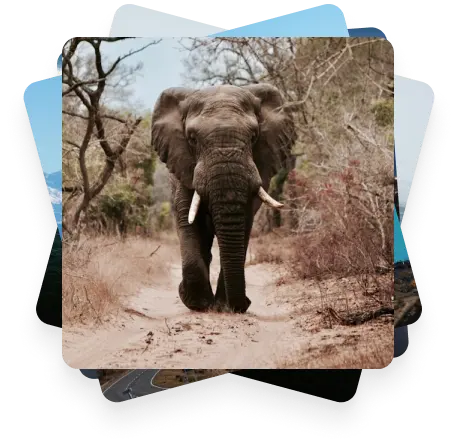 Why travelers choose ONVC to plan unforgettable vacations?