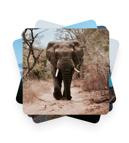 Why travellers choose ONVC to plan unforgettable vacations?