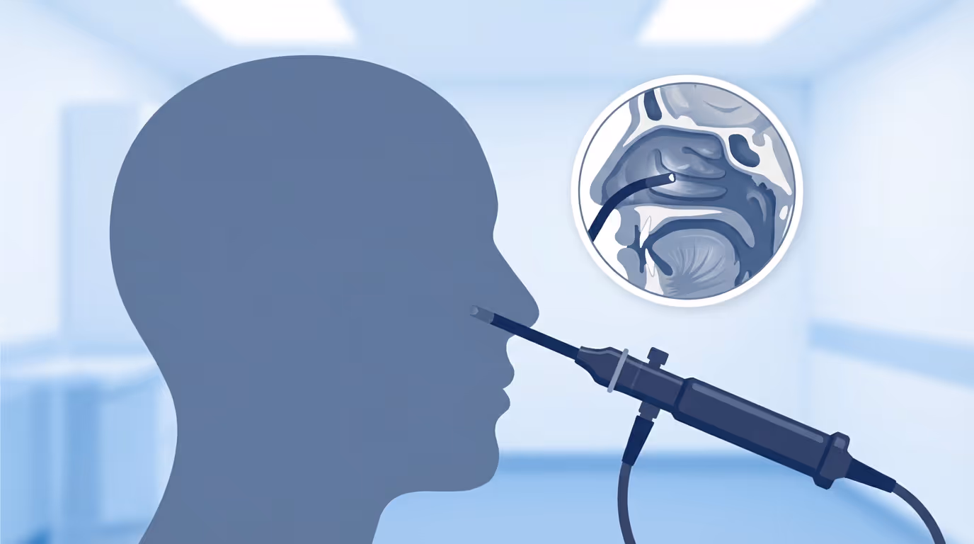 ENT nasal endoscopy scene