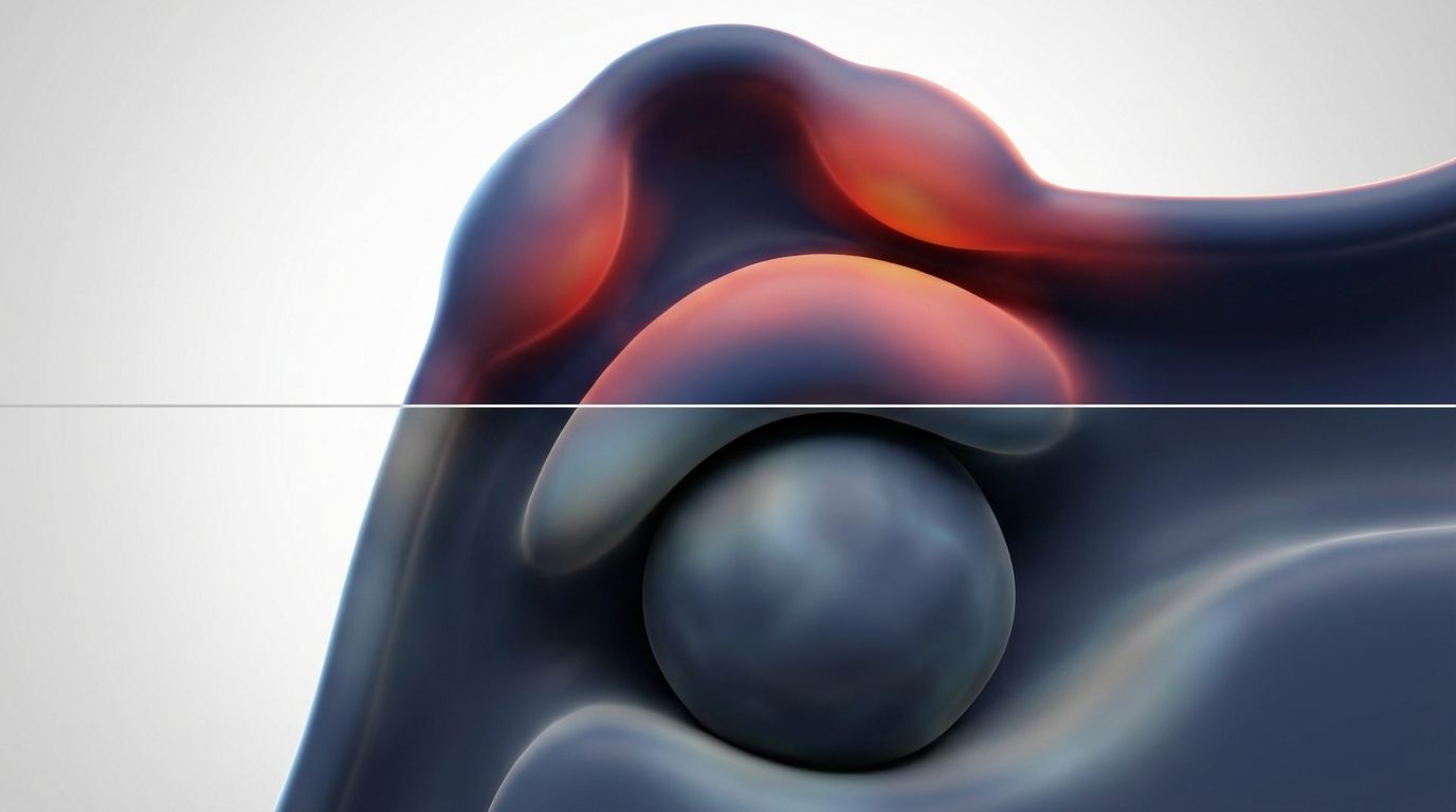 Inflammation vs. fungal sinusitis split scene, illustrating swollen sinus lining and a localized fungal ball