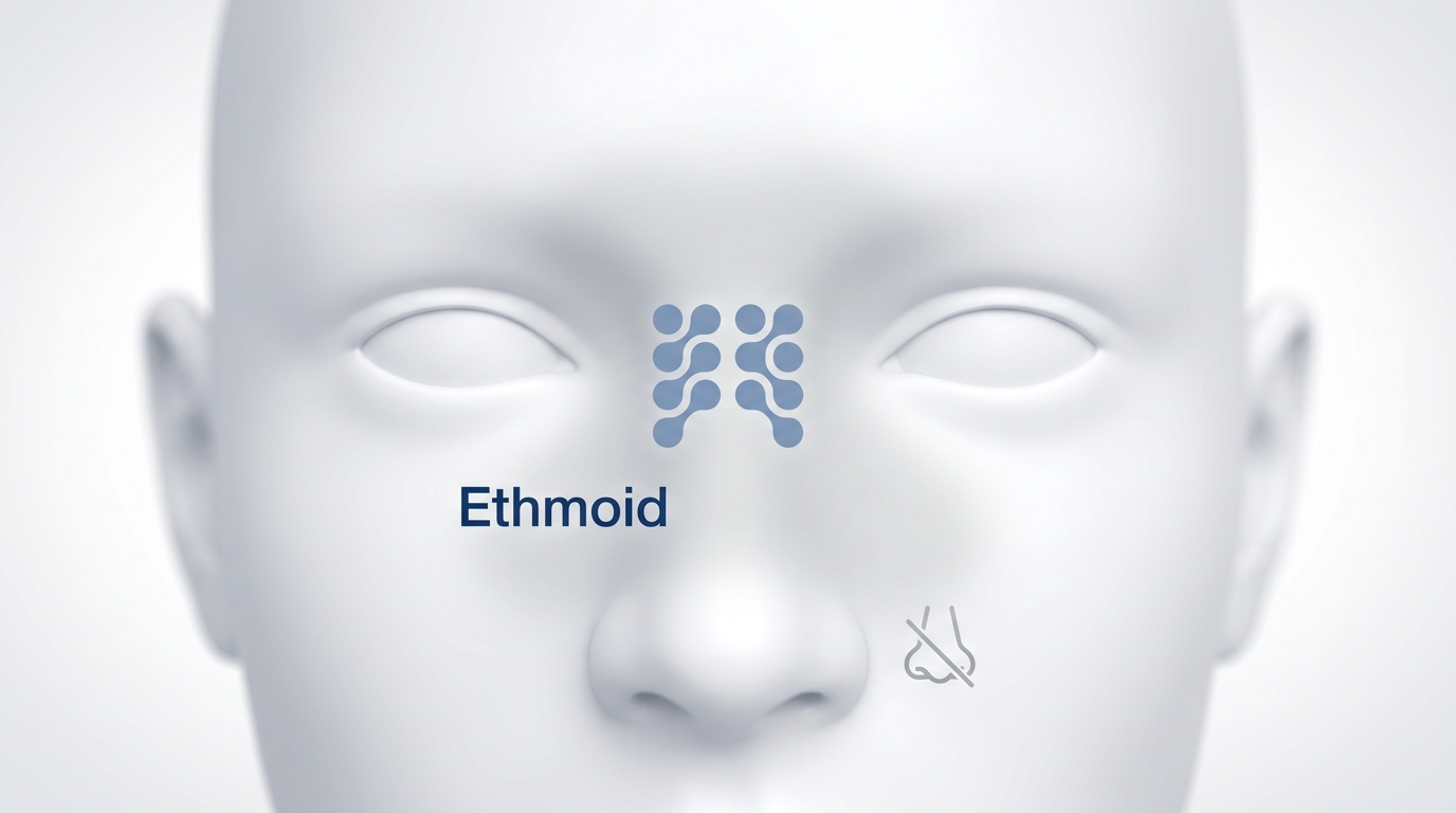 Ethmoid sinuses: between-the-eyes congestion and reduced smell illustration