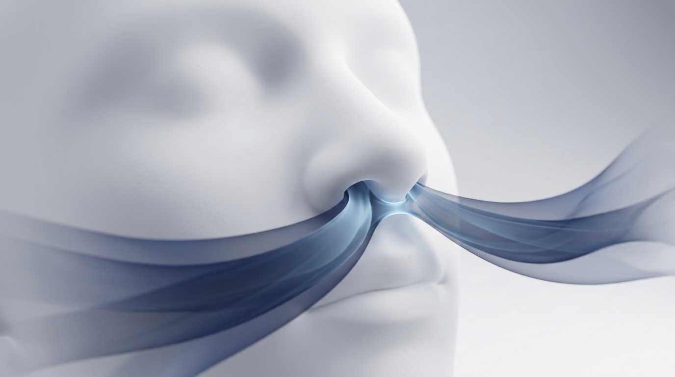 Nasal Valve Explained: The Overlooked Cause of Nasal Obstruction and Blocked Breathing
