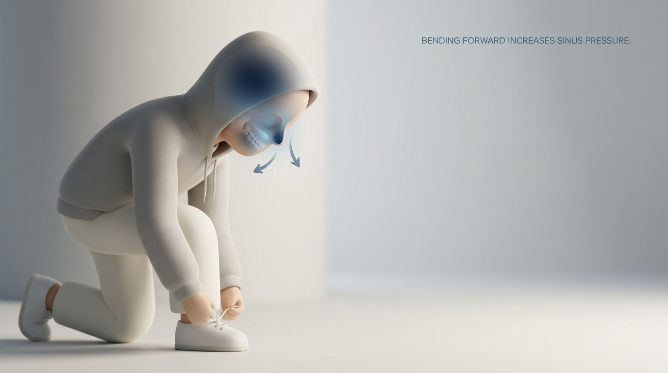 Bending forward increases sinus pressure near upper molars