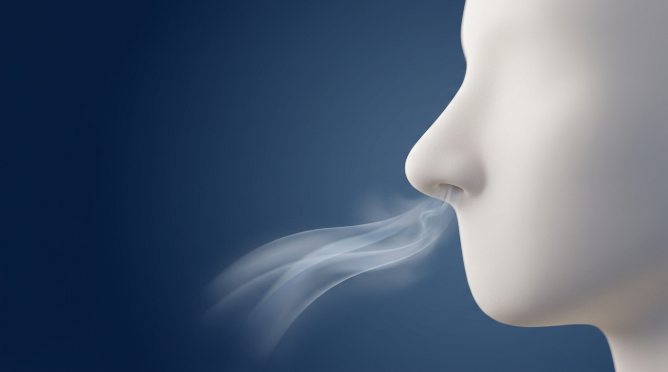 Empty Nose Syndrome After Turbinate Surgery: Symptoms, Causes, and Treatment Options