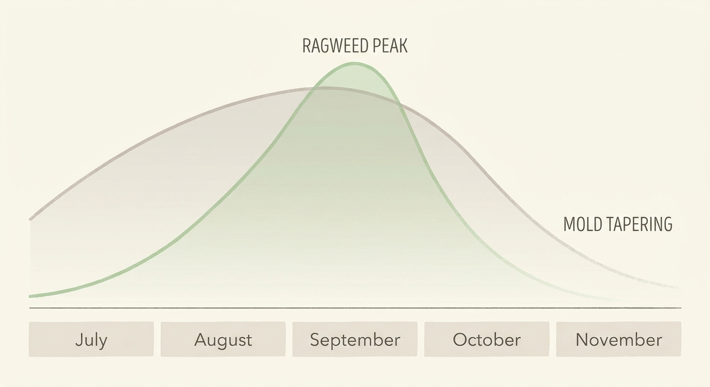 Minimal July–November timeline showing ragweed peaking around September and mold tapering into November