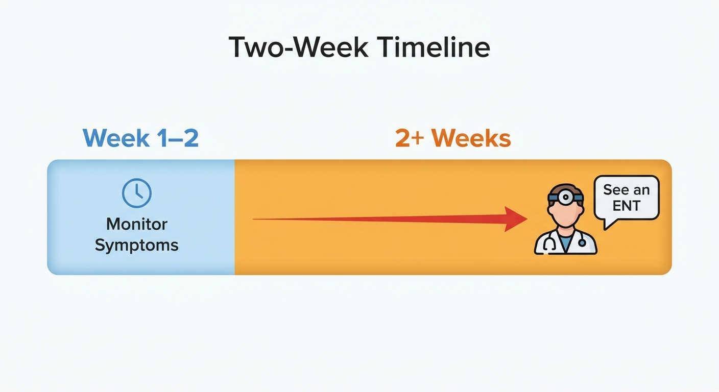 Two-week timeline cue to see an ENT