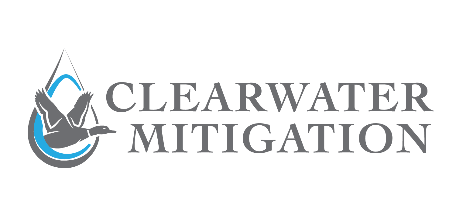 Clearwater Mitigation