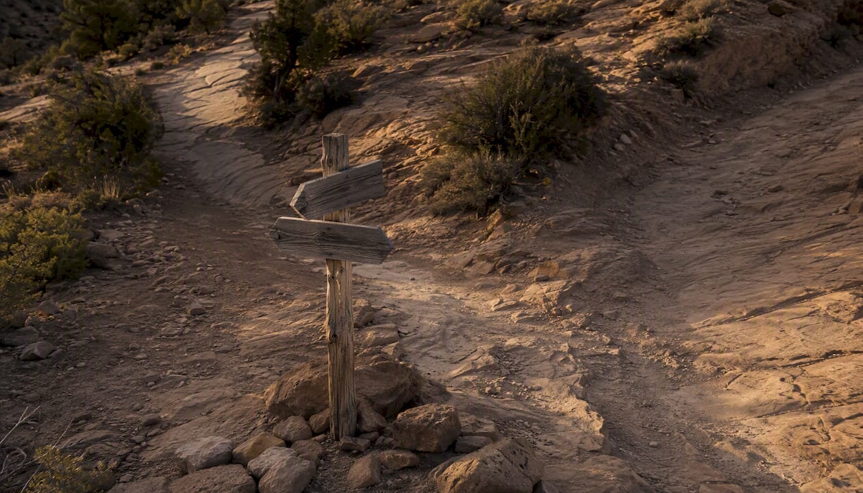 Marked trail split in Moab desert terrain