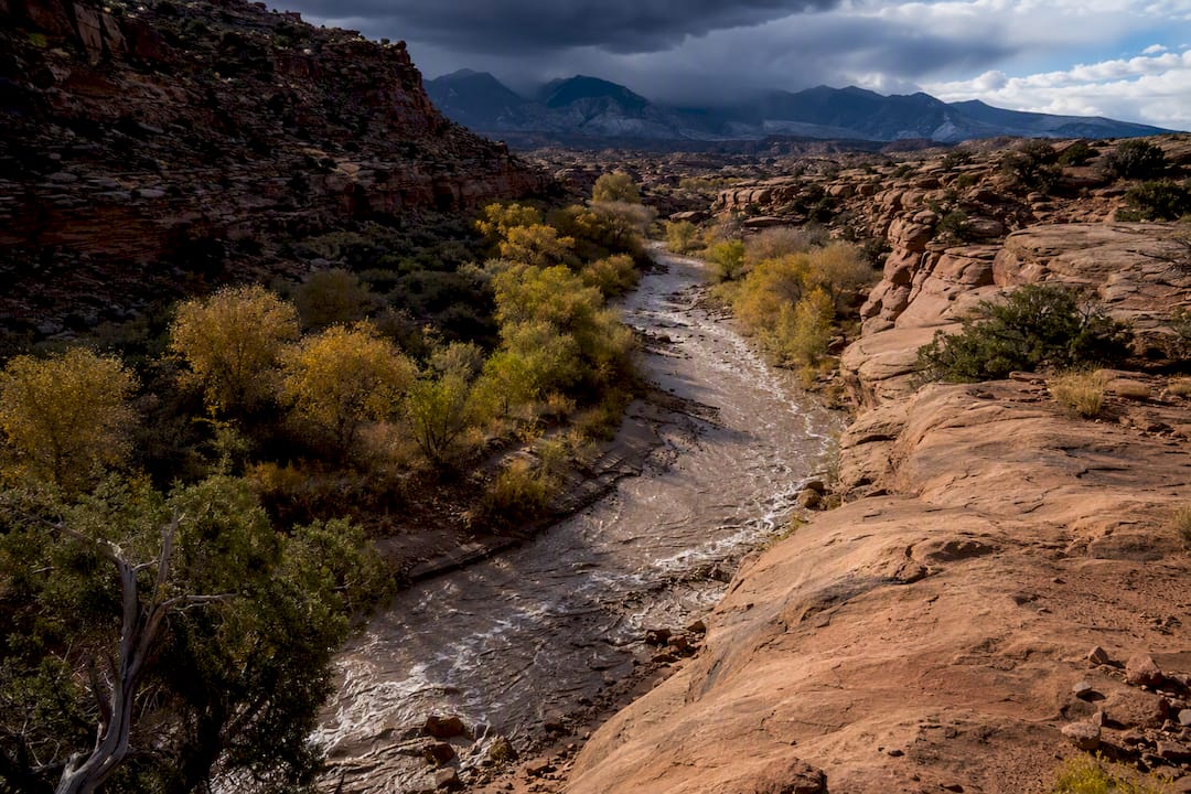 Runoff moving through a Moab desert wash
