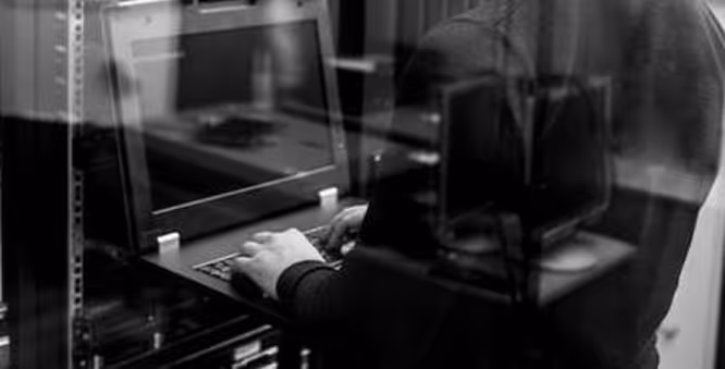 Vervent's staff working in the office