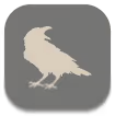 draper logo mark of raven