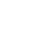 Icon of shaking hands