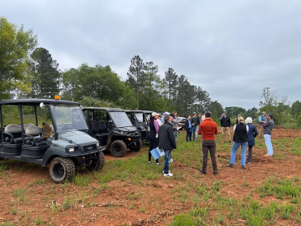 Off road vehicles in the forest