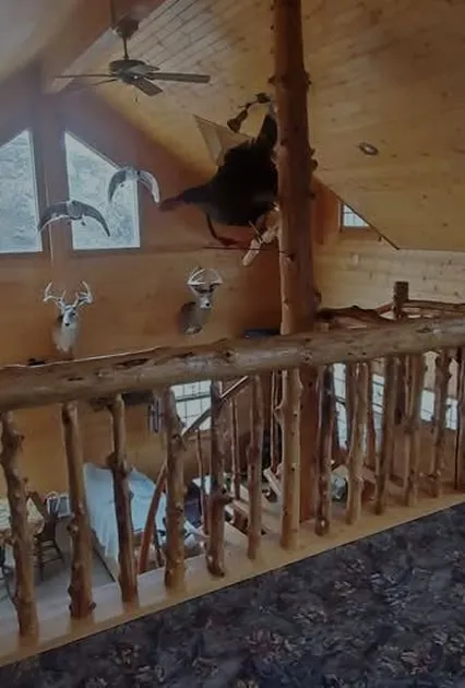 A rustic cabin interior with wooden walls and ceiling. Mounted deer heads and antlers decorate the space. Natural light streams through large windows.