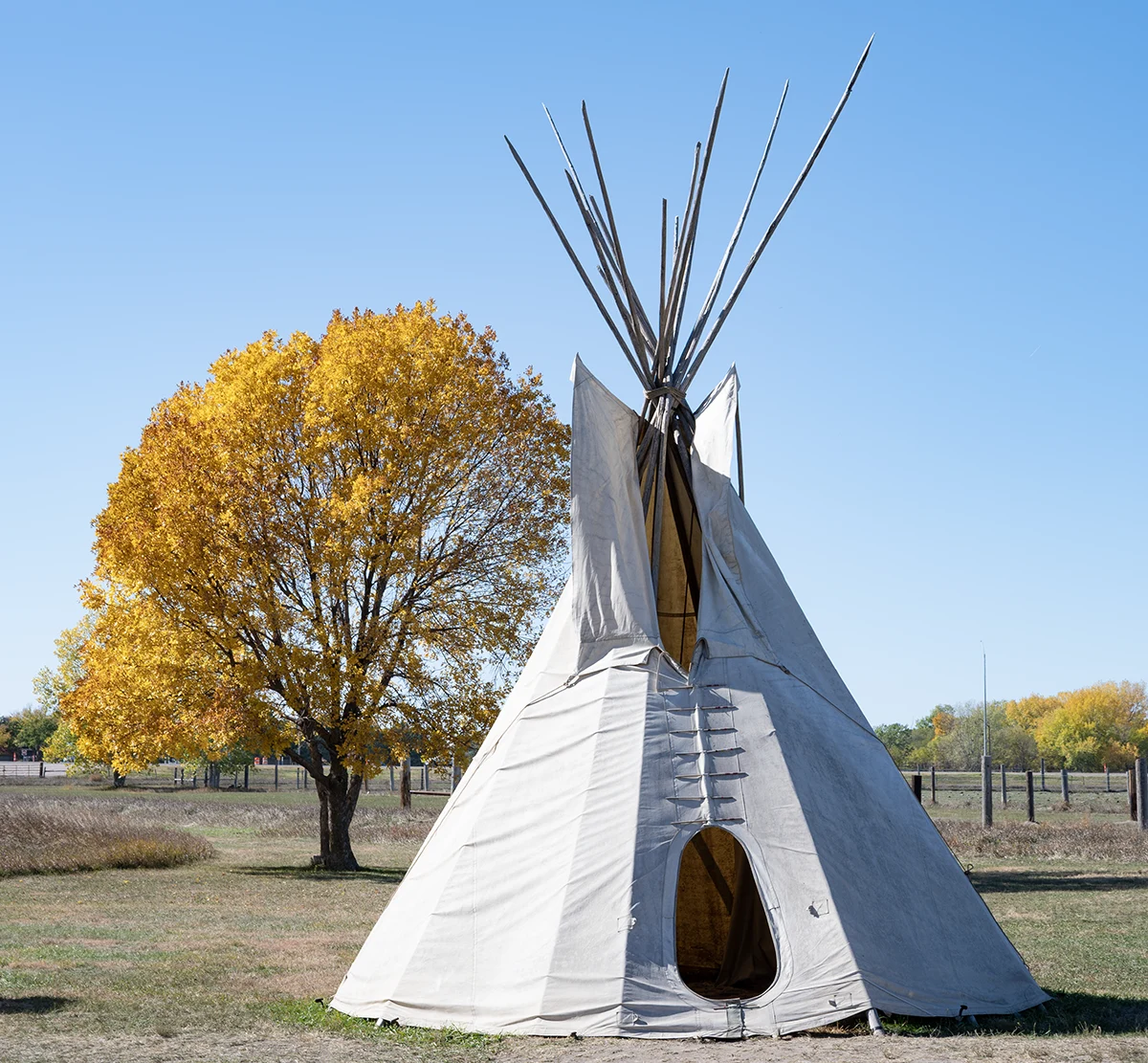 A tepee or tipi at Stuhr Museum. 