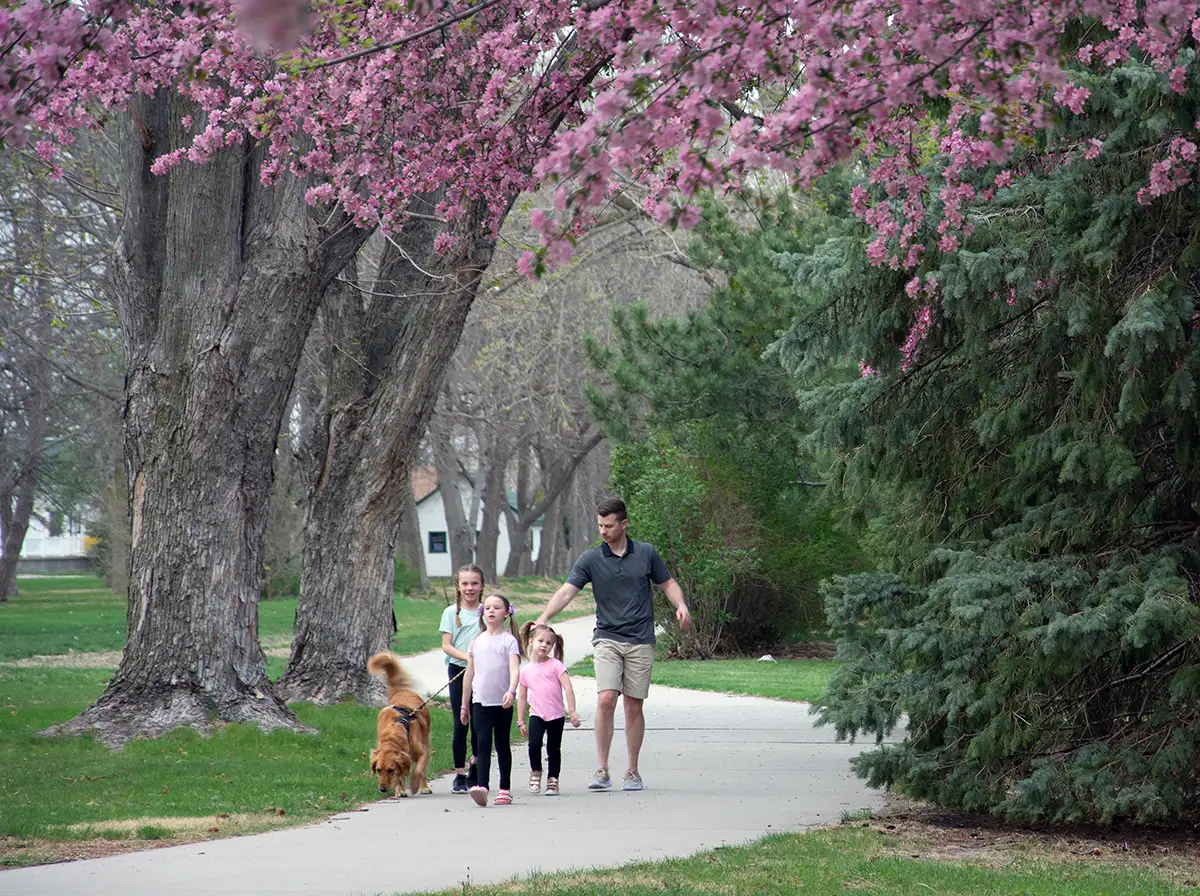 Spring flowers create a canopy over a Grand Island hike and bike trail.