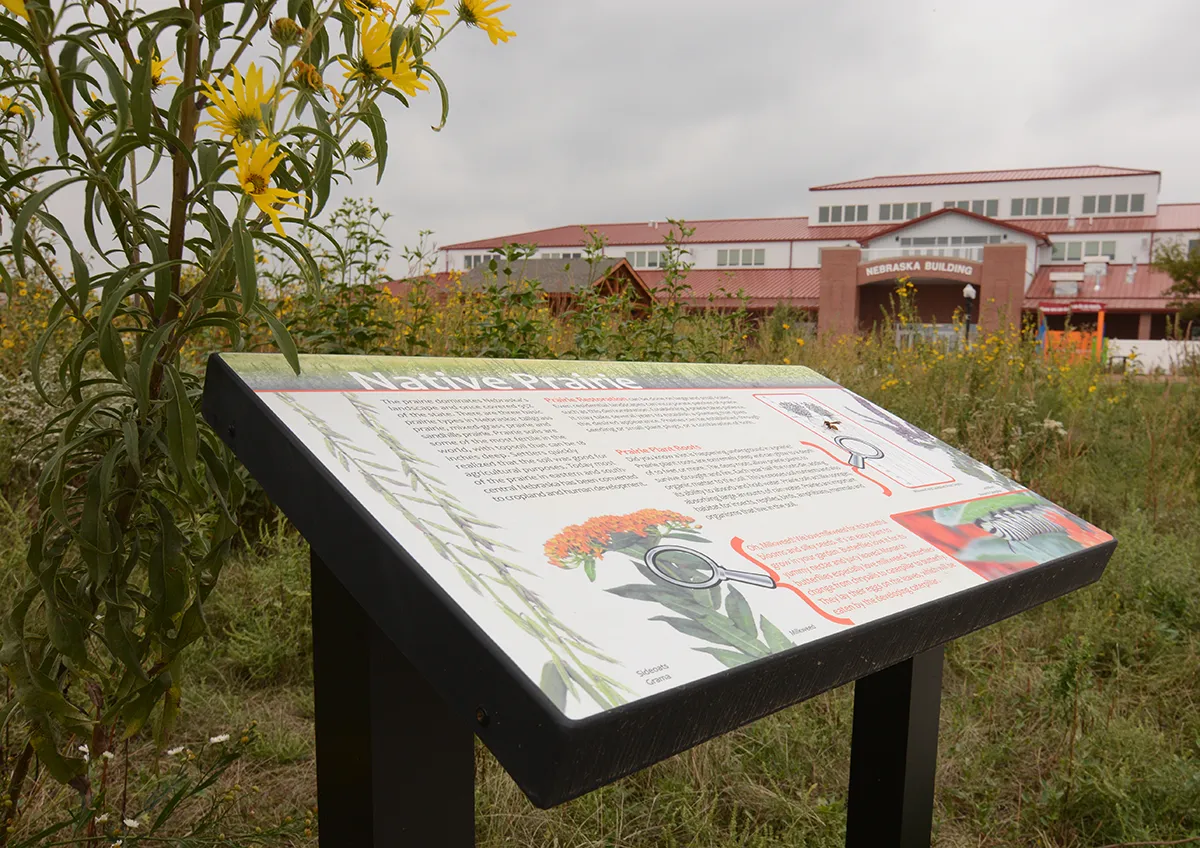 Sunflowers and an information sign at Fonner Park in Grand Island, Nebraska.
