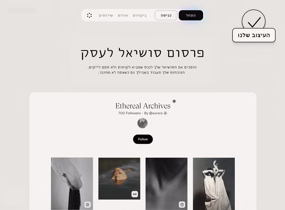 עיצוב של אתר וובפלו יפיפה
